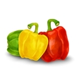 Pepper isolated on white vector image