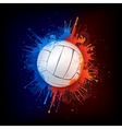 Volleyball ball vector image