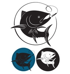 Tuna Tuna vector image