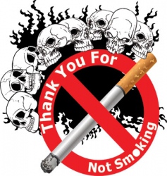 No smoking vector image