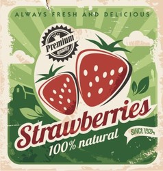 Vintage poster template for strawberry farm vector image