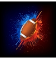 Football ball vector image