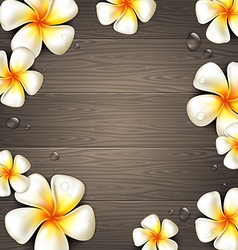 Tropical flowers on a wooden background vector image