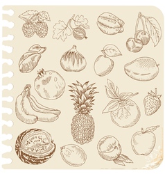 Set of Doodle Fruits vector image