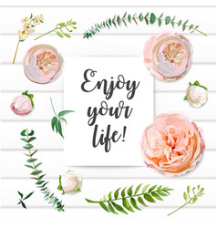 Floral summer seamless pattern pink garden rose vector image
