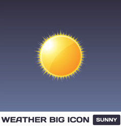 Sunny Icon vector image