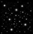 Night sky vector image