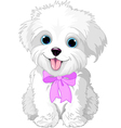 White lap-dog vector image