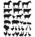 Silhouettes of farm animals vector image