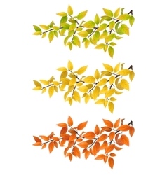 Set branches with autumn leaves vector image