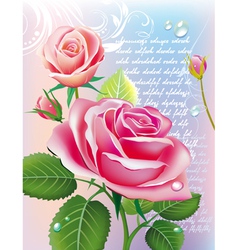 With roses vector image