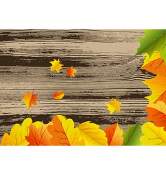 Autumn vector image