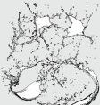 Watersplashes vector image