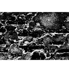 Brick background vector image
