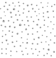 Footprint of cat and dog vector image