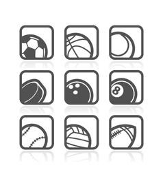 Sport Icons Sport Icons vector image