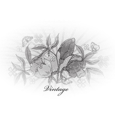 Vintage floral background Vintage floral background vector image