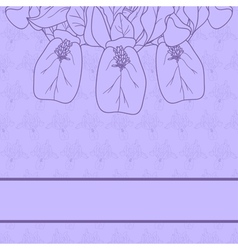 Template greeting card vector image