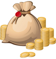 Gold bag vector image