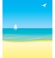 Beach bird vector image