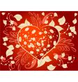 Heart Heart vector image