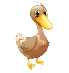 A brown baby duck vector image