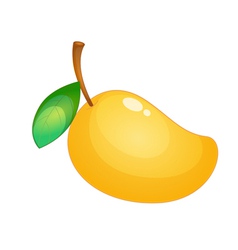 Fruit vector image