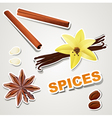 Set stikers spice vector image