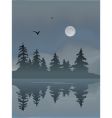 Foggy lake vector image