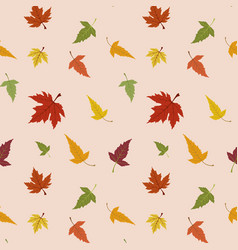 Maple leaves pattern Maple leaves pattern vector image