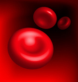 Red bllod cells vector image