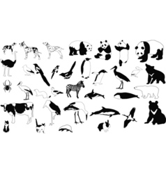 Black and white animals vector image