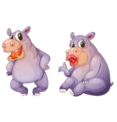Cartoon Female Hippos vector image