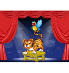 A tiger and a colorful parrot performing on the vector image