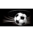 Soccer ball vector image