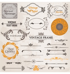 Set Calligraphic Design Elements vector image