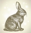 Bunny sketch vector image