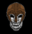 Viking skull vector image