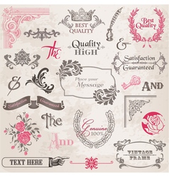 Set Calligraphic Design Elements vector image