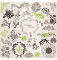 Set Calligraphic Design Elements vector image