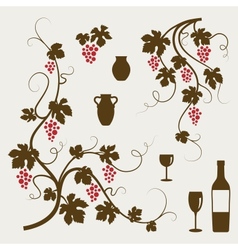 Grape vines wineglasses and decorative elements vector image