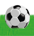 Ball vector image