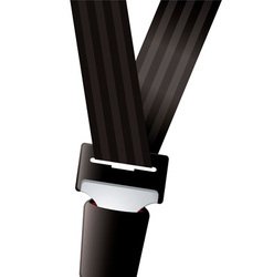 Modern seat belt vector image
