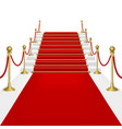Red carpet vector image