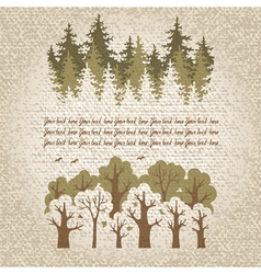 Forest vector image
