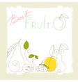Best fruit vector image