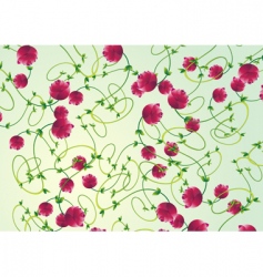 Rose floral pattern vector image