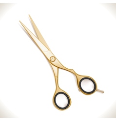 Golden Scissors vector image