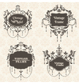 Set Vintage Frame collection with FLower elements vector image