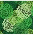 Floral pattern vector image